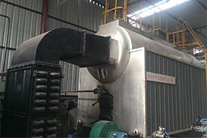 孟加拉造纸厂4吨生物质锅炉