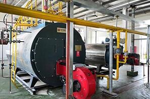 山东威海生物科技公司4吨蒸汽2吨导热油锅炉