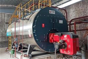 河南焦作纸业公司8吨燃气蒸汽锅炉项目