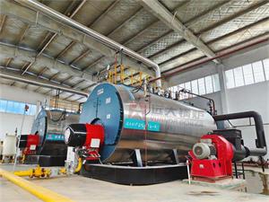 15吨燃气冷凝锅炉江西新威能源项目