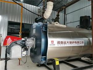江西橡塑公司3吨燃气导热油锅炉项目