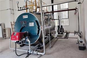 重庆木制品企业WNS型1吨燃气蒸汽锅炉项目