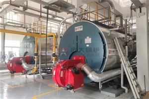广东珠海制药企业2台10吨燃气蒸汽锅炉项目