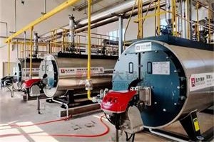 陕西榆林牧业公司供暖3台2吨超低氮沼气热水锅炉