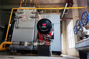 辽宁葫芦岛化工企业SZS型25吨燃气蒸汽锅炉项目