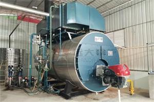 广西茶叶公司6吨燃气蒸汽锅炉项目