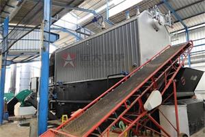 印度尼西亚饮料厂10吨生物质蒸汽锅炉